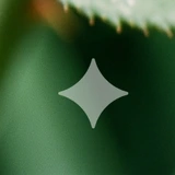 Gemini sparkle watermark